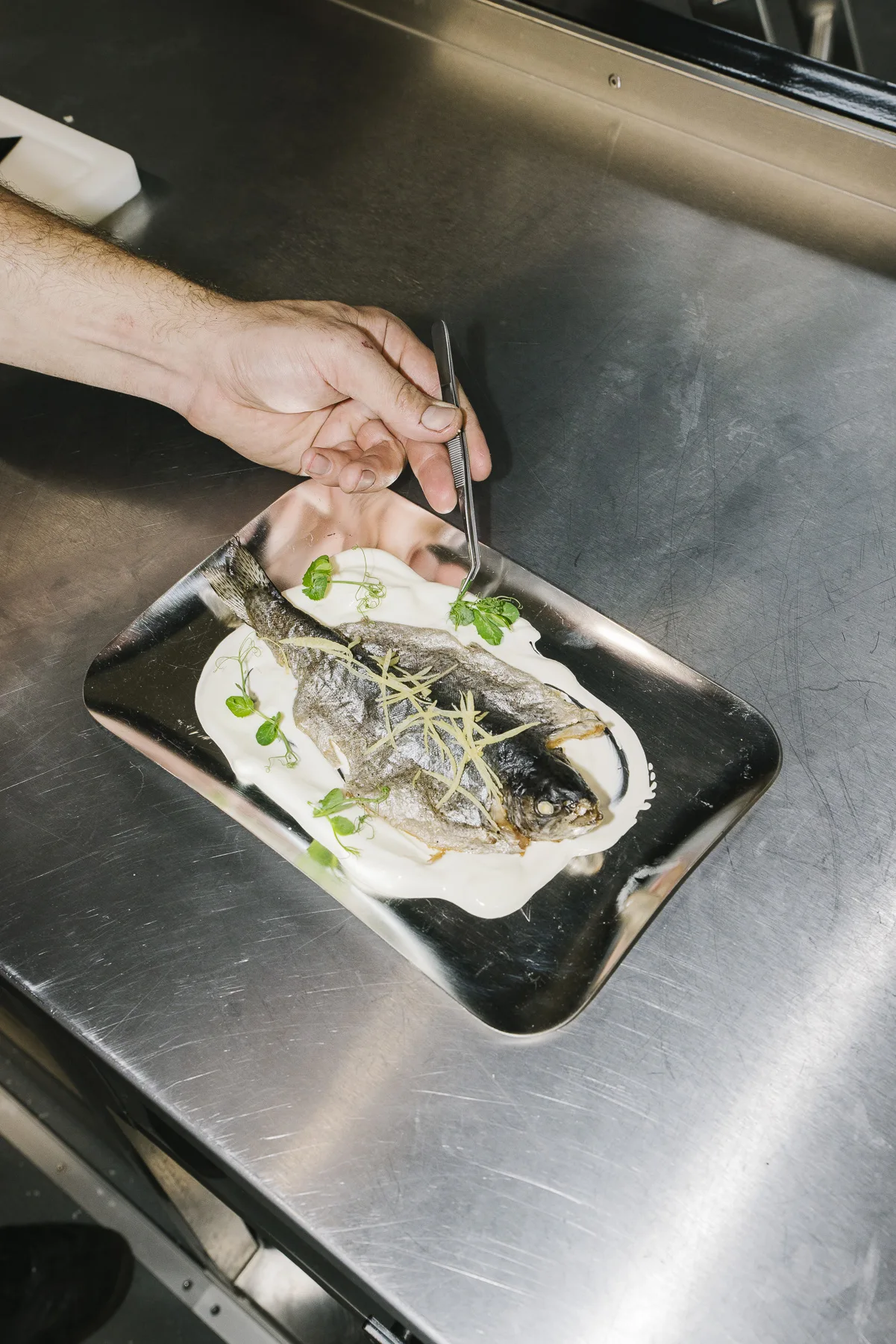 Kräuter und Beilagen zum Fisch