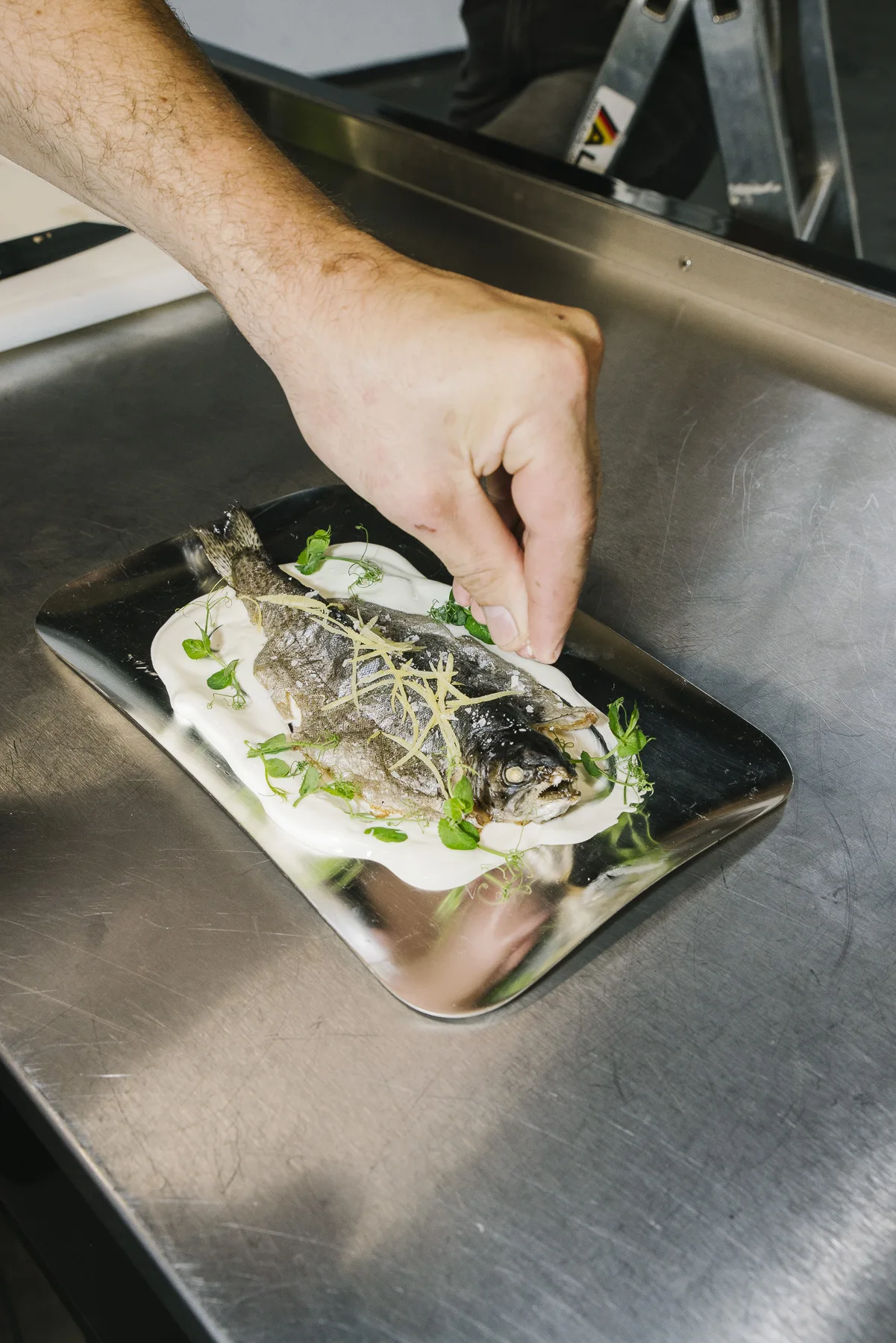 Kräuter werden auf dem Fisch verteilt